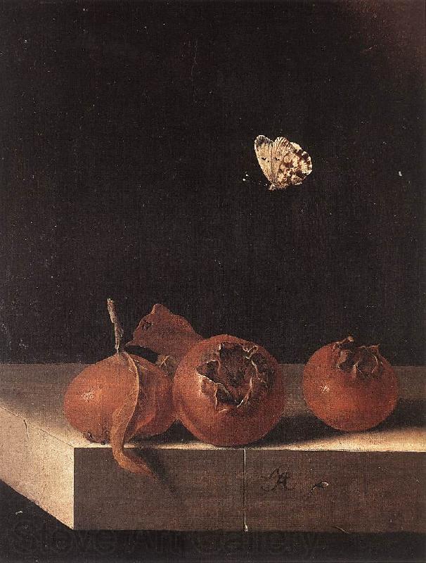 COORTE, Adriaen Three Medlars with a Butterfly zsdgf Germany oil painting art